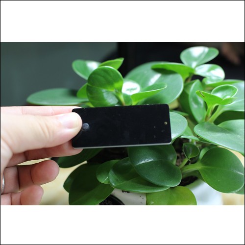 UHFメタルタグ JT-6025